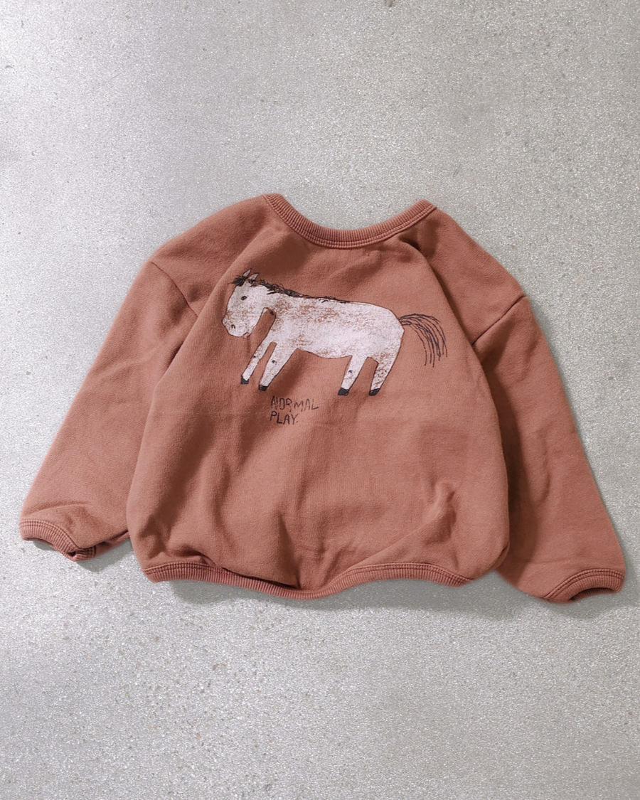 Donkey Sweatshirt