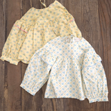 Spring Blouse