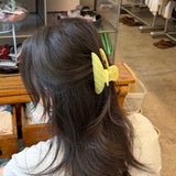 Candy Swirl Claw Clip