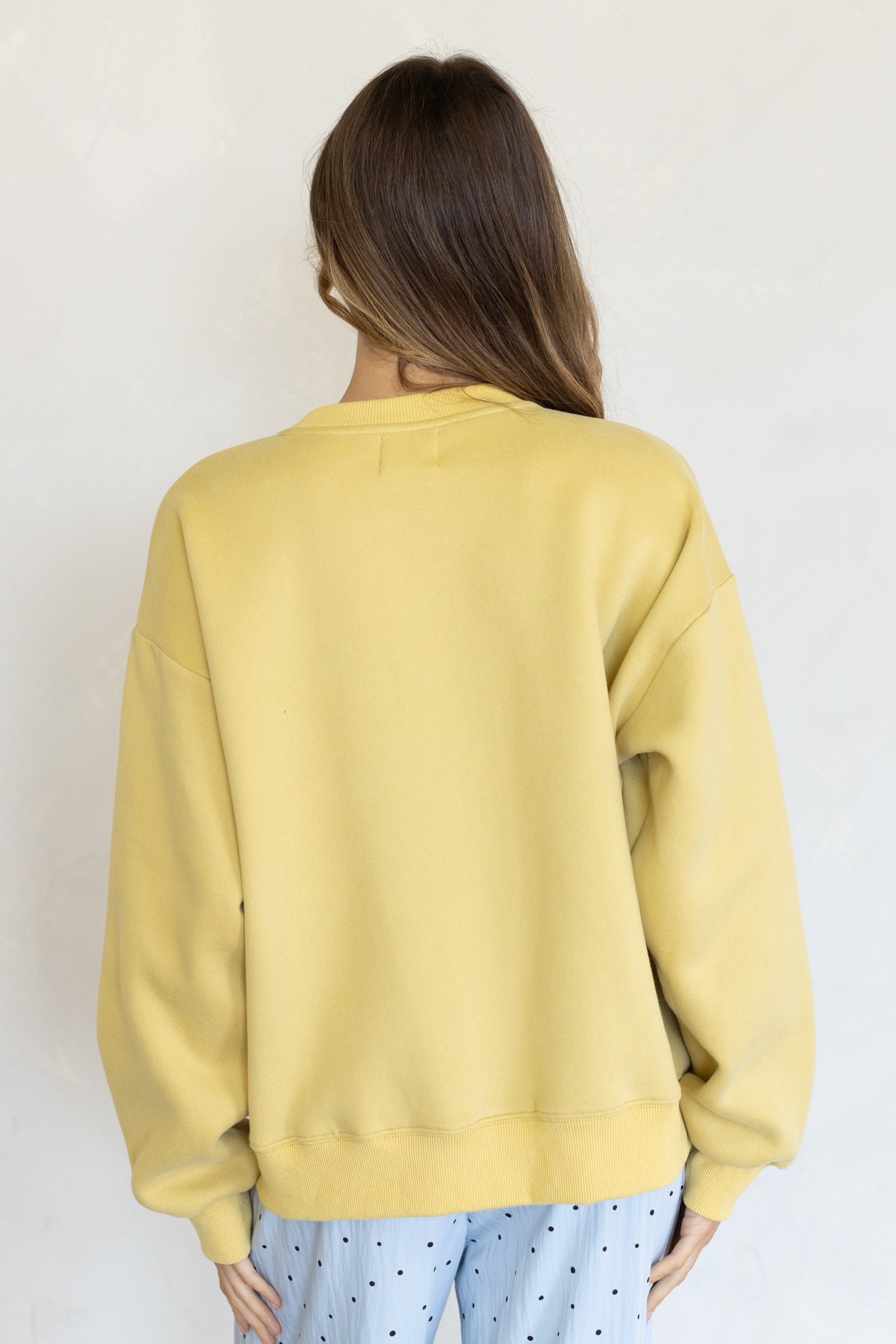 Pony Pullover Sweatshirt