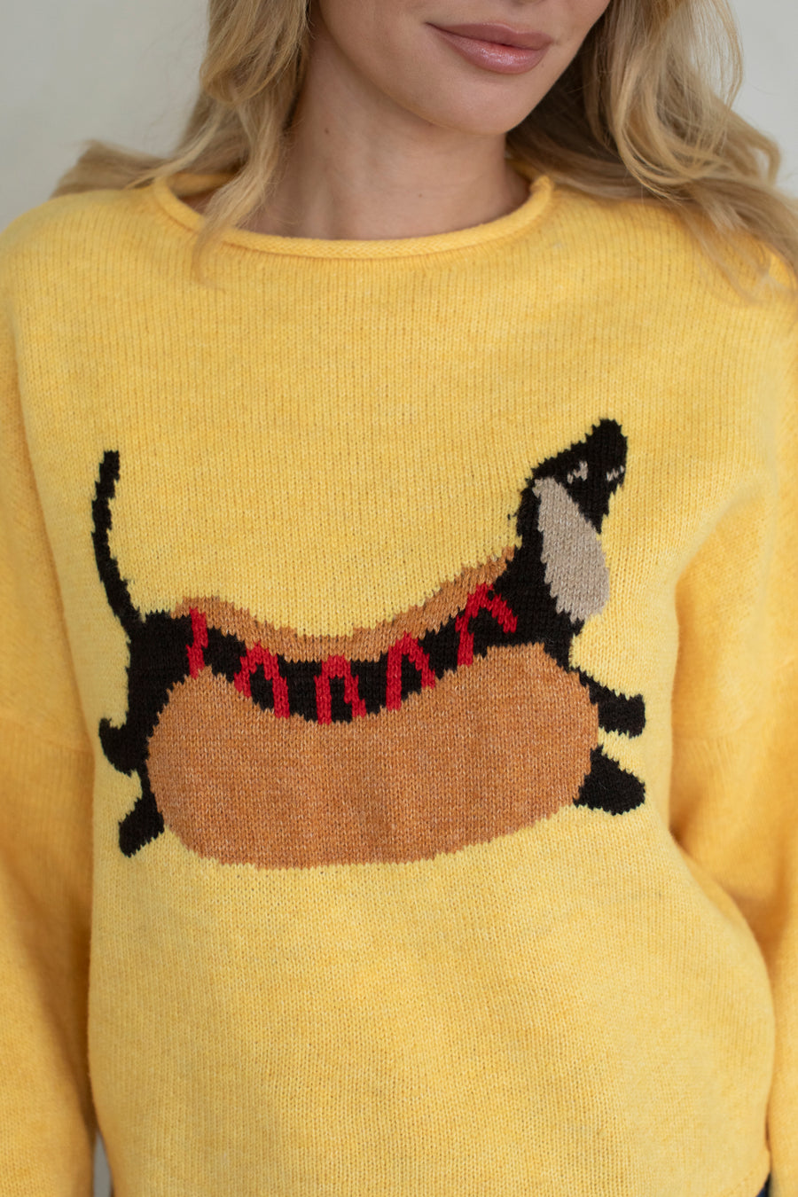 Hot Frank Dog Sweater