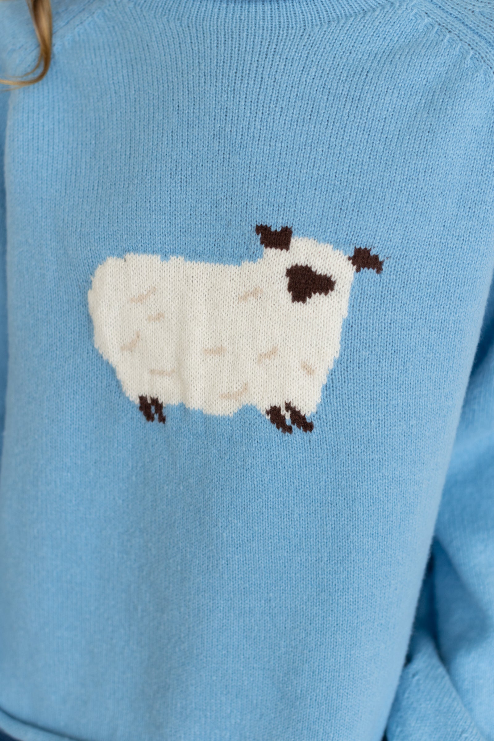 Sheep Sweater